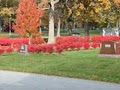 Catholic Cemetery Association, Inc. logo