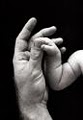 Catholic Charities of Dallas' Maternity & Adoption Program image 6