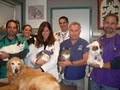 Central Animal Hospital image 2