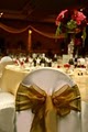 Chair Cover Express image 3