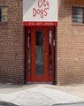 Charm City Dogs Doggie Daycare image 2
