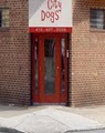 Charm City Dogs Doggie Daycare image 2