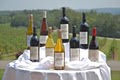 Chaumette Vineyard & Winery image 7