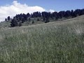 Chautauqua Park image 3