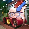 Children's Museum of Memphis image 4