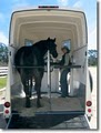 Chowning Horse Trailers image 3