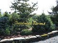 Christmas Farms image 10