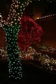 Christmas Light Installer of Raleigh image 9