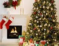 Christmas Tree Wonderland image 2