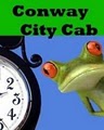 City Cab of Conway image 4