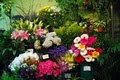 City Gardens Flower Shop image 8