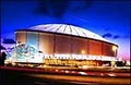 City of St Petersburg: Tampa Bay Rays image 3
