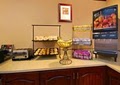Clarion Nantasket Beach Resort Hotel and Spa image 7