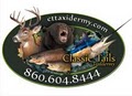 Classic Tails Taxidermy image 2