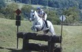 Clover Valley Equestrian image 6
