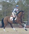 Clover Valley Equestrian image 7