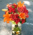 Coleman Florist Inc image 8