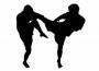 Combat Fitness Mixed Martial Arts Center logo