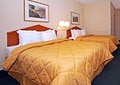 Comfort Inn Airport image 2