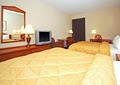 Comfort Inn Airport image 3