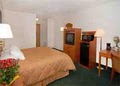 Comfort Inn Airport image 5