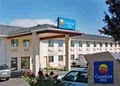 Comfort Inn Airport image 8