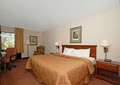 Comfort Inn Cross Creek image 4