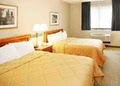 Comfort Inn Dulles International Airport image 8