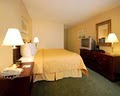 Comfort Inn Hyannis image 3