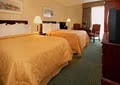 Comfort Inn Hyannis image 4