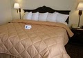 Comfort Inn & Suites  image 7