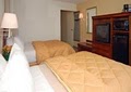 Comfort Inn & Suites Airport North image 3