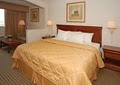 Comfort Inn & Suites Airport North image 4