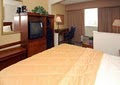 Comfort Inn & Suites Airport North image 5