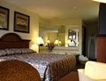 Comfort Inn & Suites DIMONDALE - LANSING MI Hotel image 9