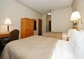 Comfort Inn & Suites image 3