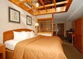 Comfort Inn & Suites image 4