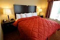 Comfort Inn and Suites image 4