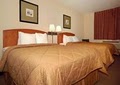 Comfort Inn image 2