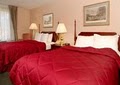 Comfort Inn image 2