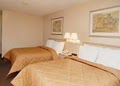 Comfort Inn image 2