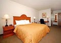 Comfort Inn image 3