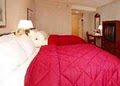 Comfort Inn image 3