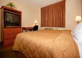 Comfort Inn image 3