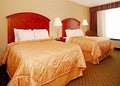 Comfort Inn image 4