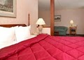 Comfort Inn image 4