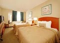 Comfort Inn image 5