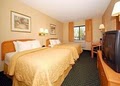 Comfort Inn image 5