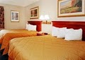 Comfort Inn image 5