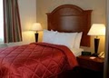 Comfort Inn image 5